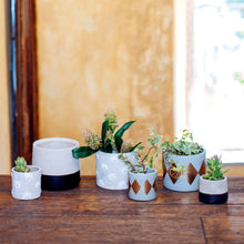 Load image into Gallery viewer, Mini Black Dip Cement Planter
